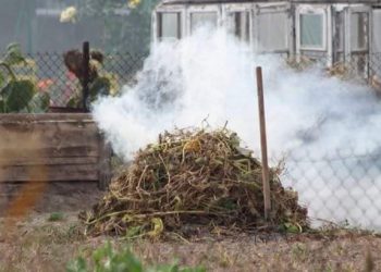 У Здолбунові виписали протокол за спалювання залишків рослинності з городу