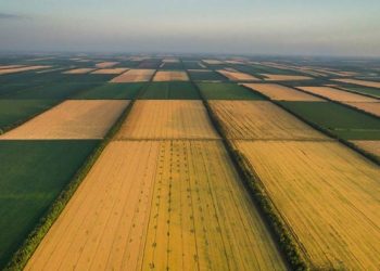 Депутати Здолбунівської міської ради просять скасувати Постанову КМУ щодо нової Методики грошової оцінки земель