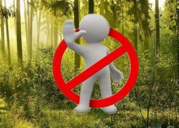 У Здолбунівській громаді діє заборона на відвідування лісів впродовж пожежонебезпечного періоду