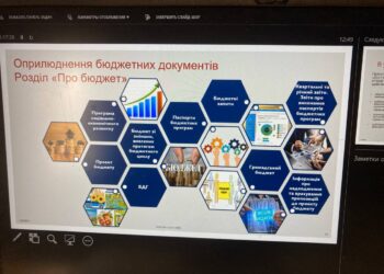Що таке бюджетна партисипація та інструменти її здійснення?