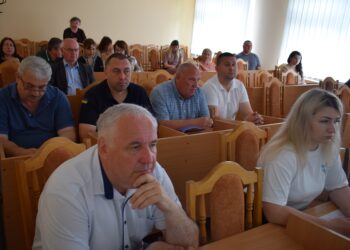 Травневе засідання виконавчого комітету: про що йшлося