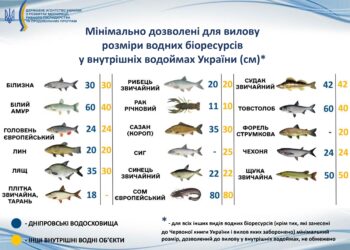 В Україні встановлено правила риболовлі – які мінімальні розміри риби для лову