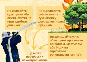 Запобігти лиху: не провокуйте пожеж, спалюючи суху рослинність