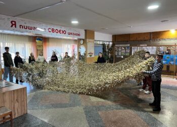 Сітки, дрони та донати: як волонтерять у ліцеях громади
