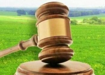 Оголошено аукціони з продажу права оренди земельної ділянки