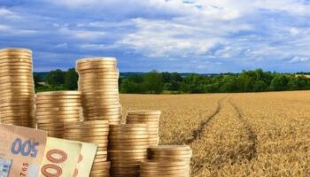 Головне управління Держгеокадастру у Рівненській області повідомляє про індексацію нормативної грошової оцінки земель за 2025 рік