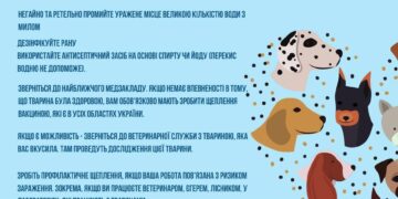 Як попередити сказ